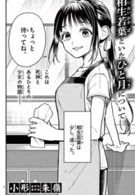 large_270409(1)
